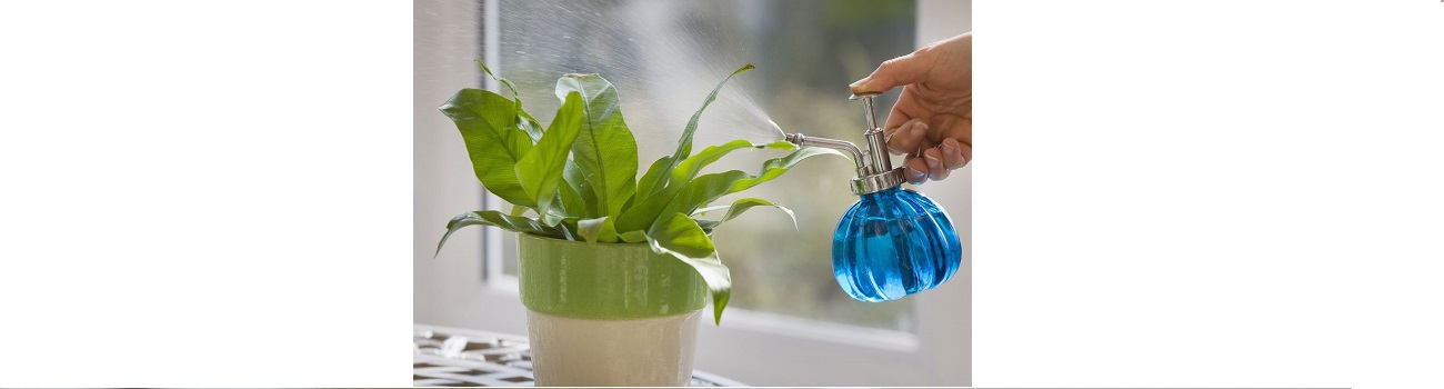 چگونه رطوبت مناسب را برای گیاهان فراهم کنیم؟