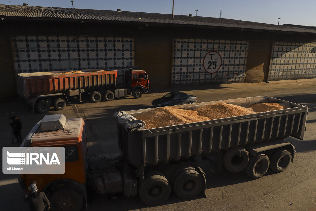 اختصاص ۷.۵ میلیون تن نهاده به کارخانه‌های خوراک آماده دام و طیور