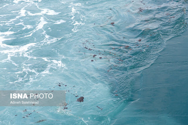 حال ناخوش محیط زیست خلیج فارس؛ از لکه‌های نفتی تا صید ترال