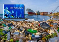 زباله ها عامل مرگ جانداران دریایی