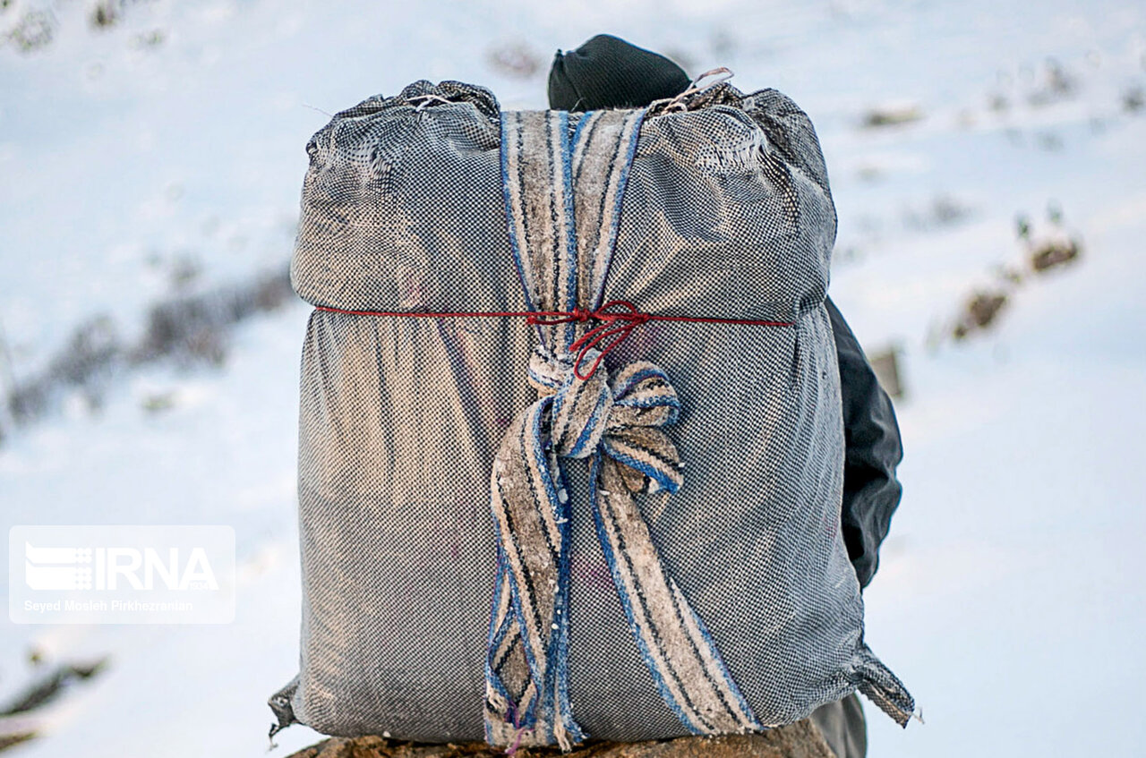 ایجاد ۷ هزار طرح اشتغالزایی جایگزین کولبری در سه استان کشور