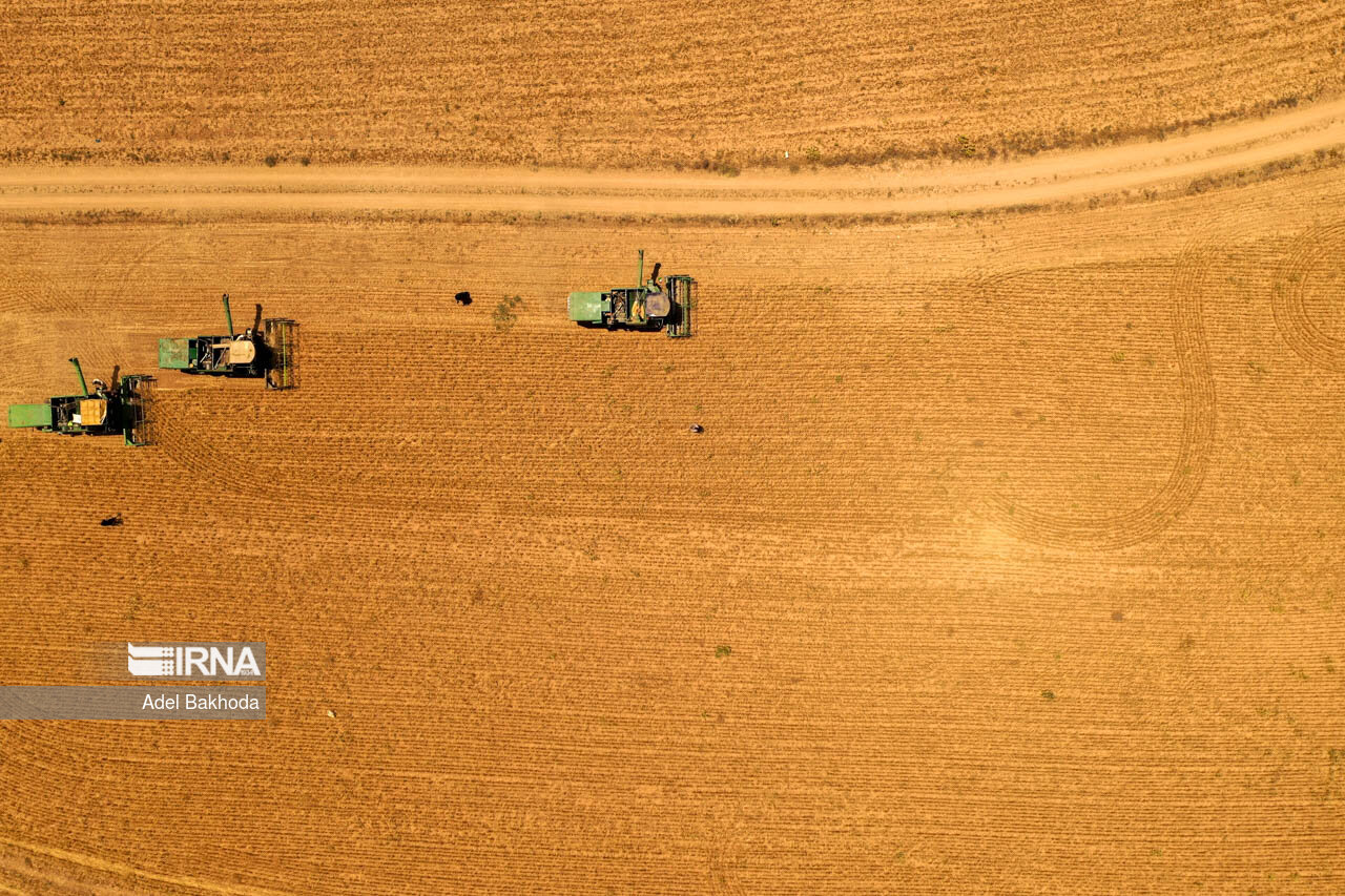 تمهیدات پلیس برای چهارشنبه‌سوری/ بازداشت شدگان تا آخر تعطیلات نوروز آزاد نمی‌شوند