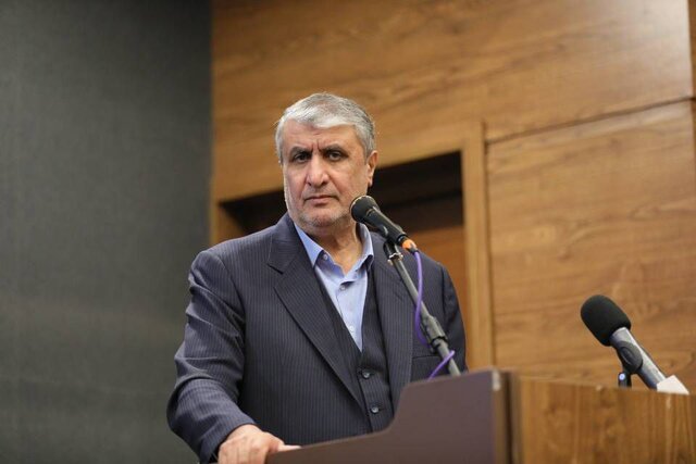 اسلامی: مشارکت با بخش خصوصی را در سازمان انرژی اتمی کلید زدیم