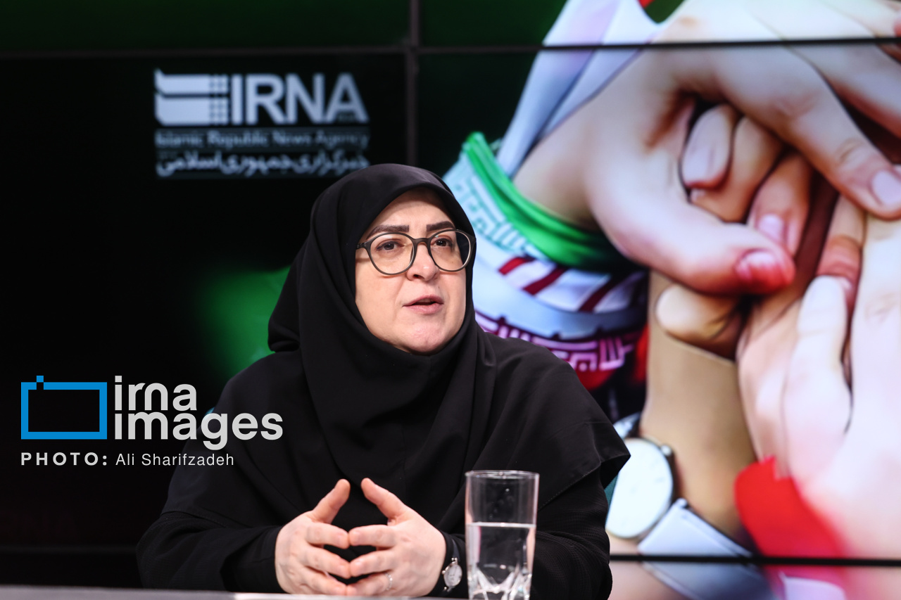 لایحه دولت برای فضای مجازی مانعی برای آزادی بیان نیست/ چهارشنبه تعطیل نیست